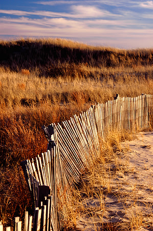 Scusset beach, Sagamore Ma.