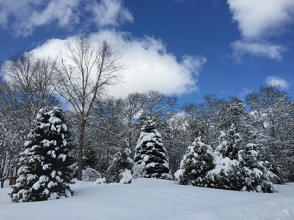 Bourne Ma. Winter Scene