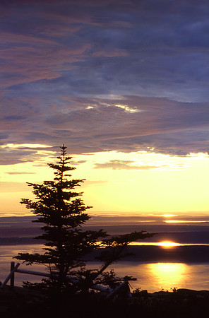 Bar Harbor Maine