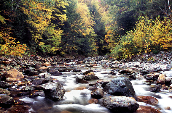 Cold River Berkshires Ma.