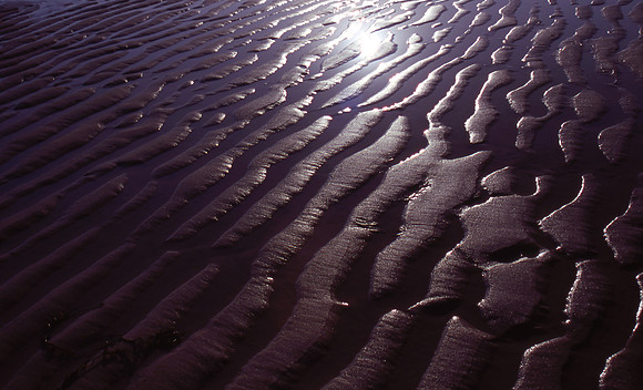 Scusset beach Cape Cod
