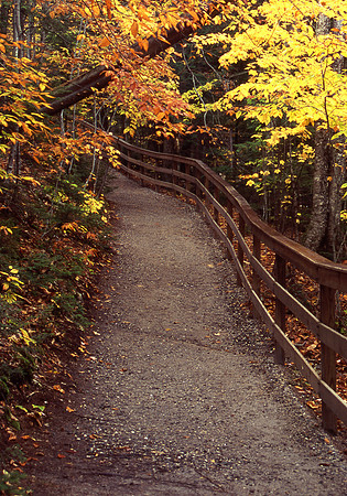Flume Path Lincoln New Hampshire
