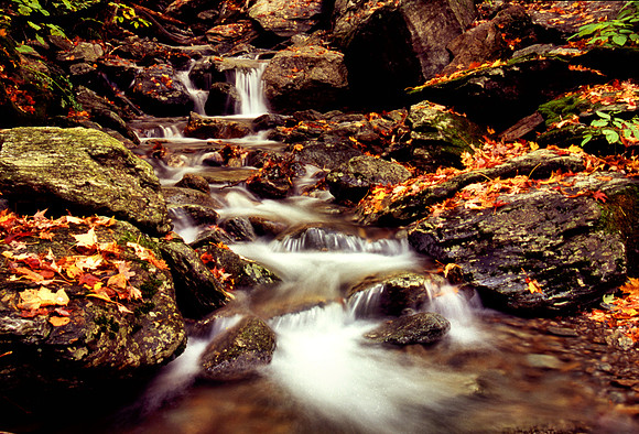 Moss Glenn Falls Stowe Vt.