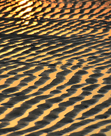 Scusset beach Cape Cod