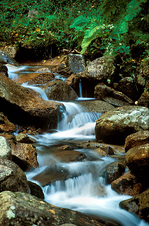 Flume Gorge Lincoln, N.H.