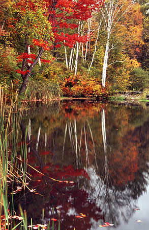Stowe Vermont